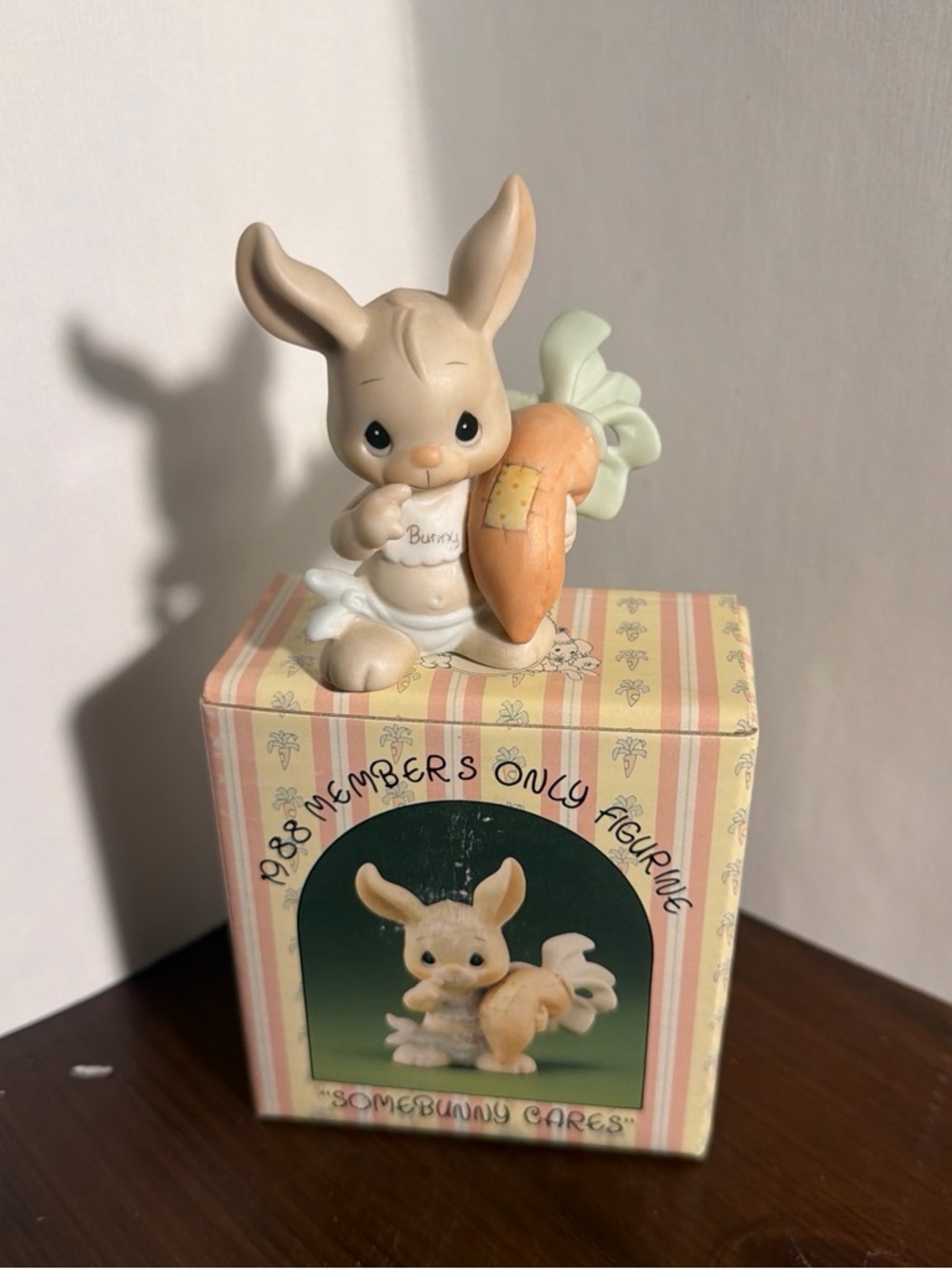 Precious Moments Somebunny Cares